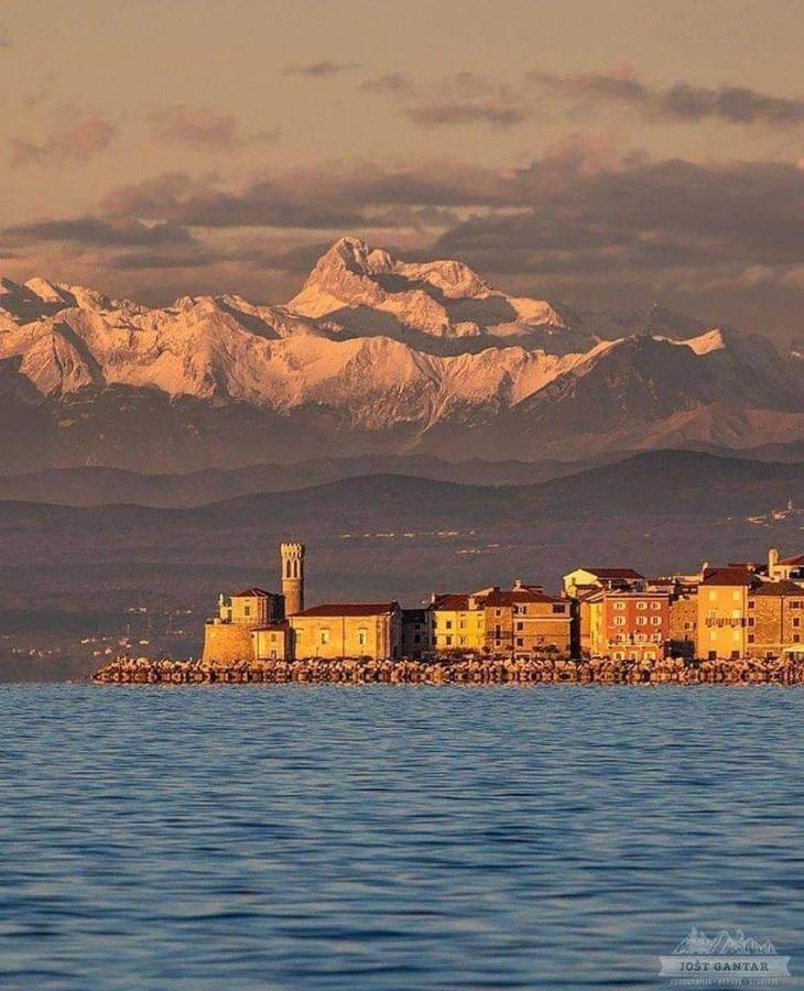 Piran Apartma 1 And 2 Appartments Exteriér fotografie